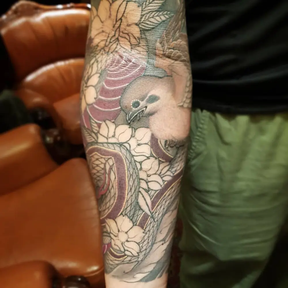 Animal, Dragon