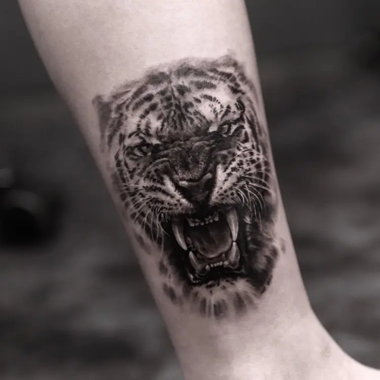 Tiger, Animal