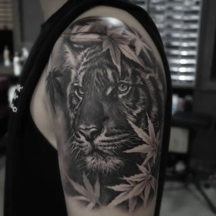Nature, Animal, Tiger