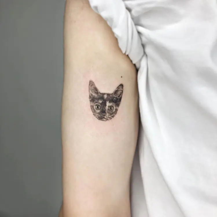 Animal