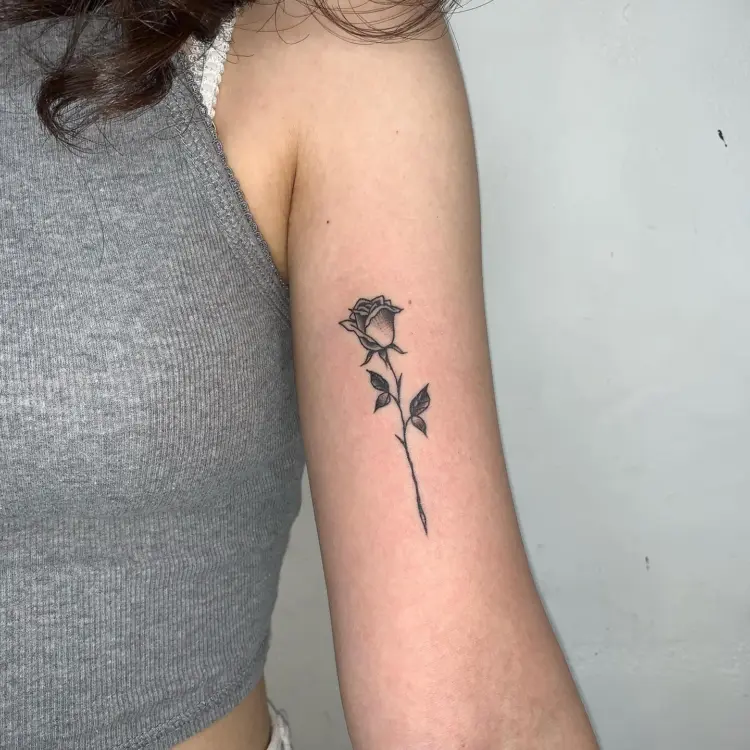 Flower, Rose
