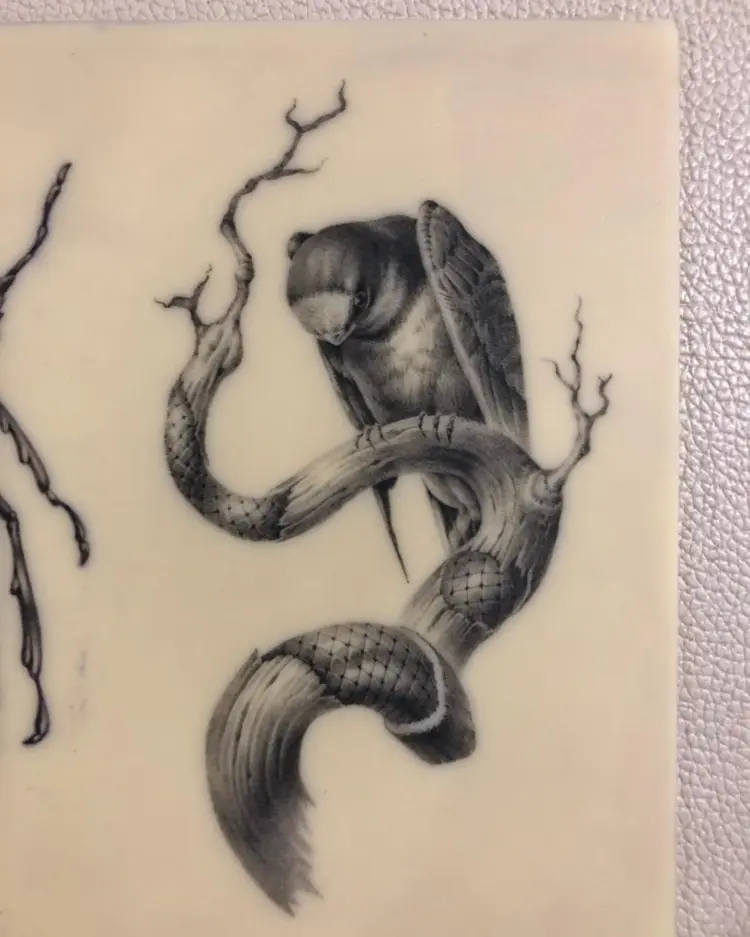 Animal