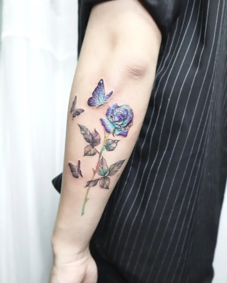 Nature, Rose, Flower, Animal