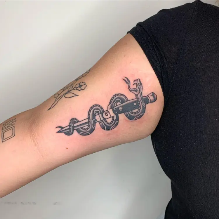 Snake