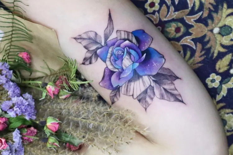 Flower, Rose