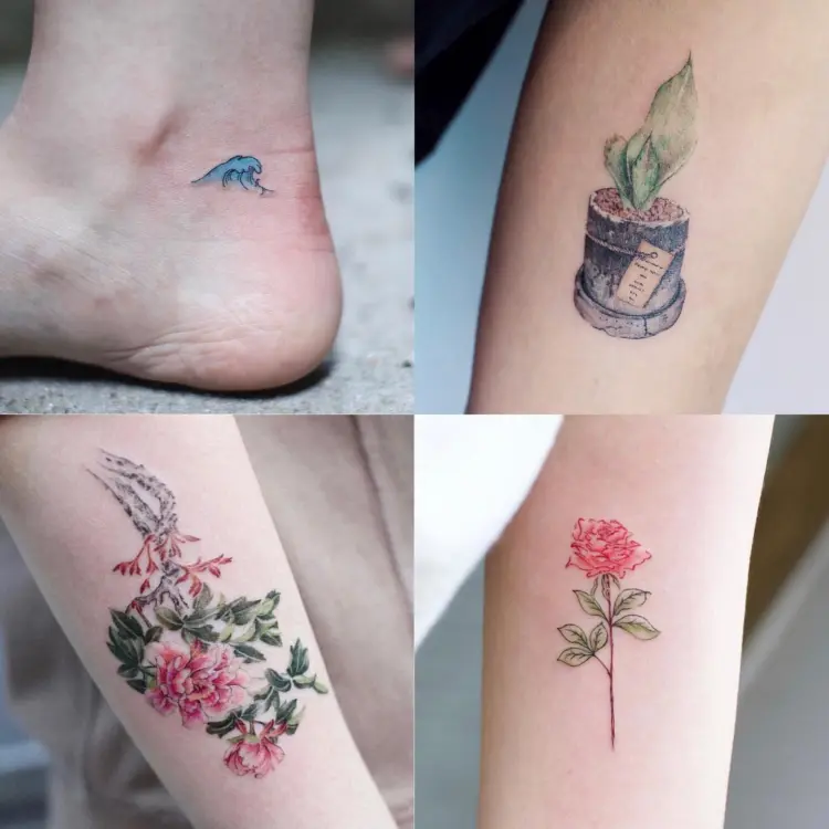 Flower, Mini, Nature, Rose, Animal