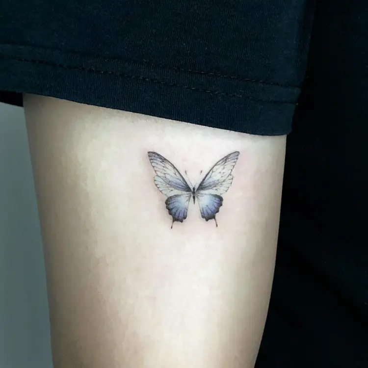 Animal, Nature