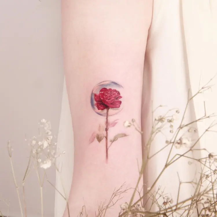 Flower, Rose