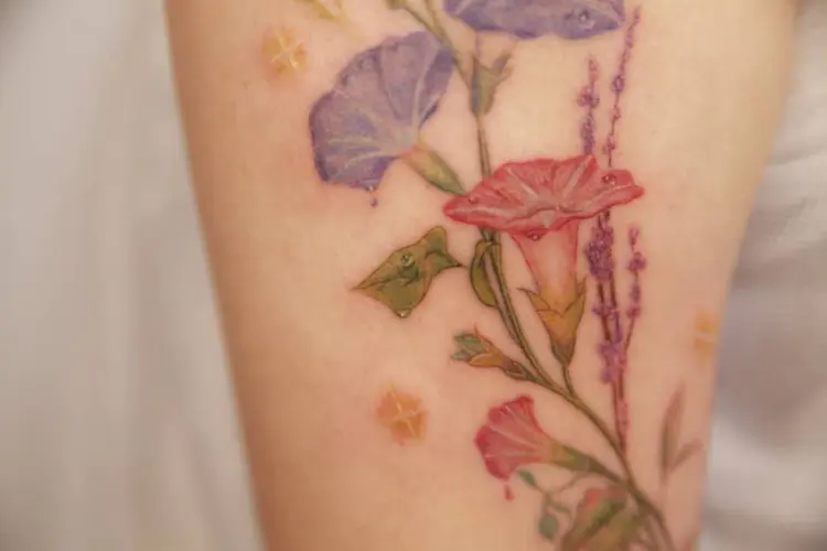 Nature, Rose, Flower