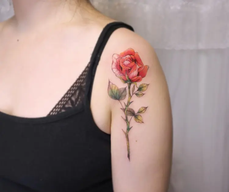 Flower, Rose