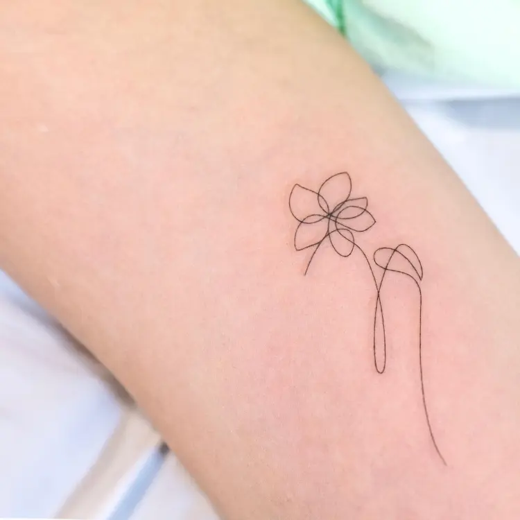 Nature, Flower, Mini