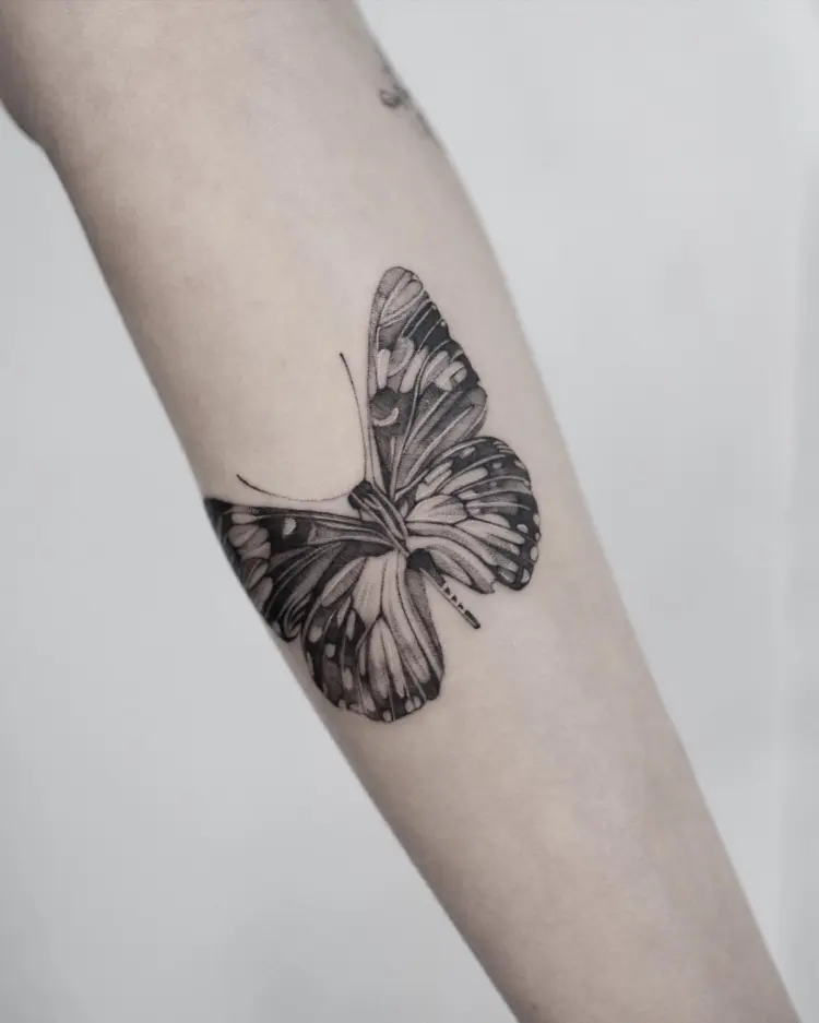 Animal, Nature