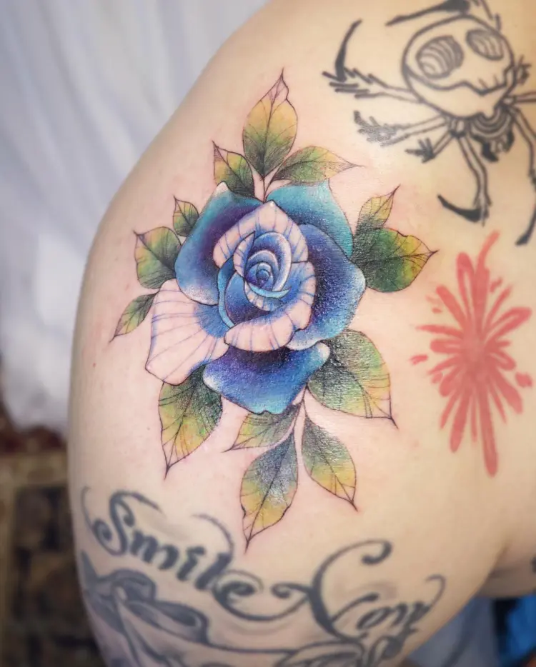 Flower, Nature, Rose