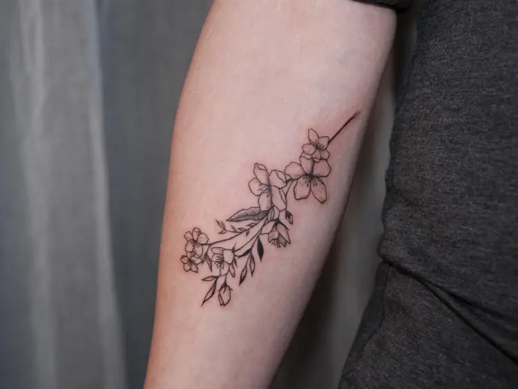 Nature, Flower