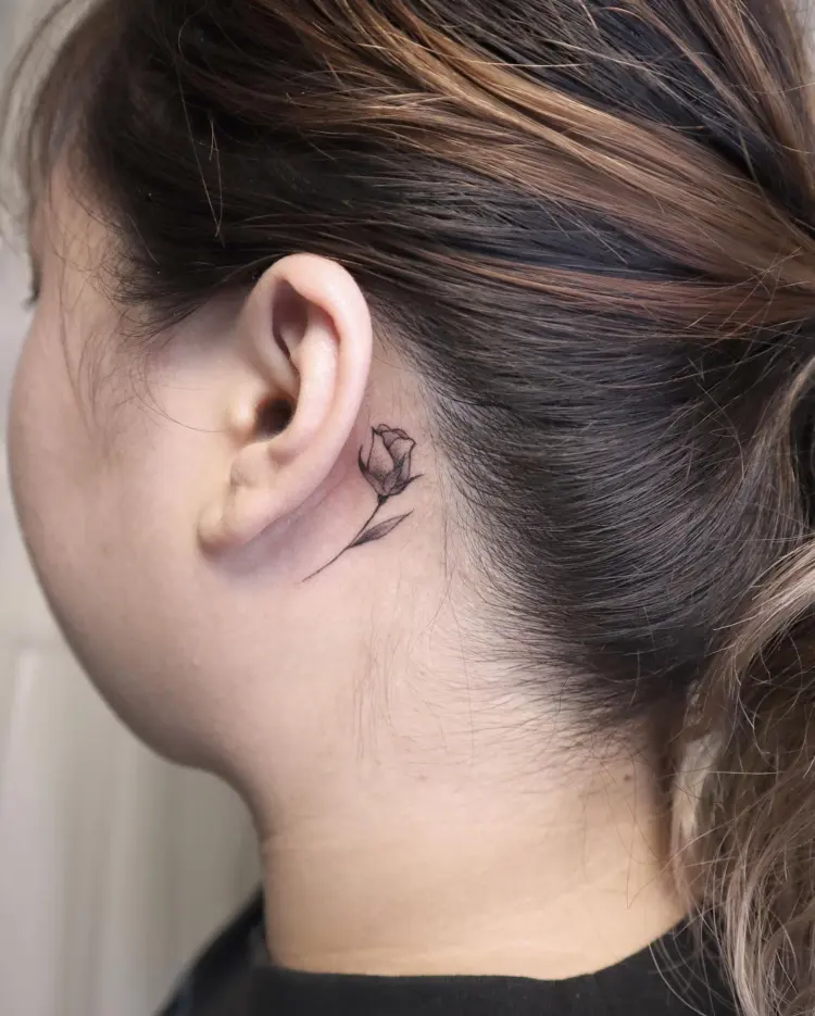 Flower, Rose, Mini