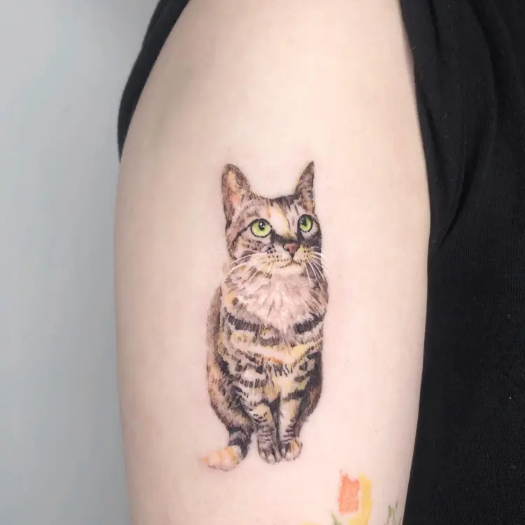 Animal