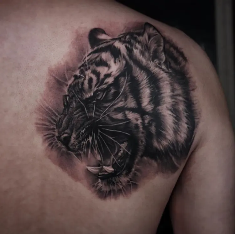 Tiger