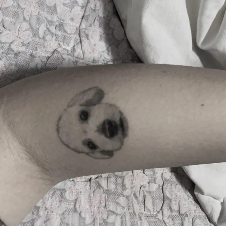 Mini, Animal