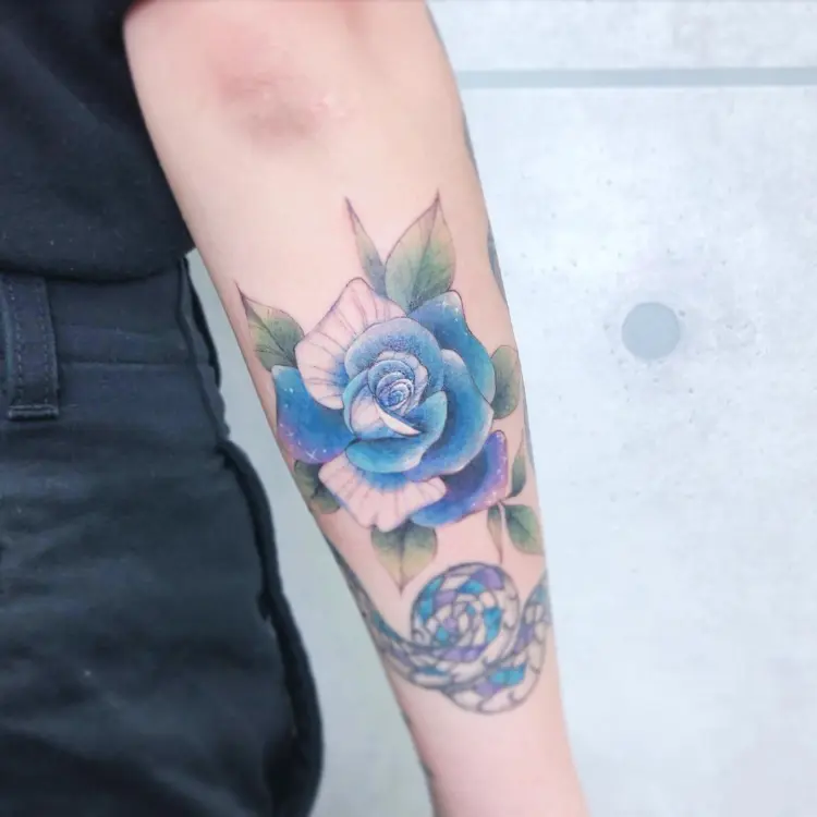 Rose, Nature, Flower