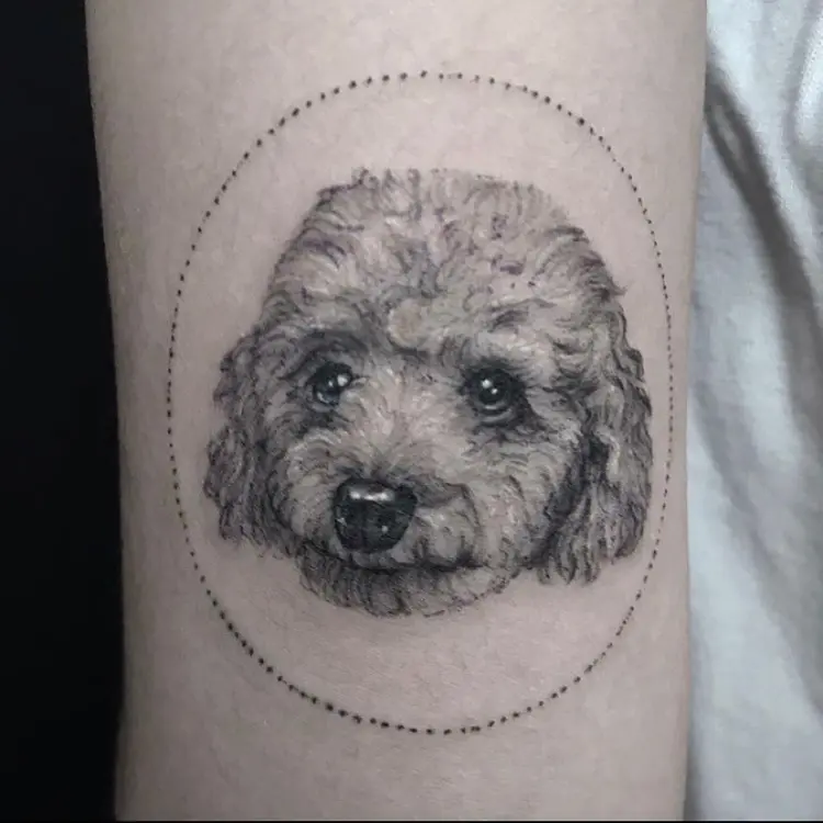Animal