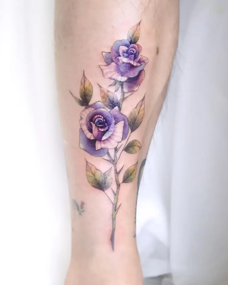 Rose, Nature, Flower