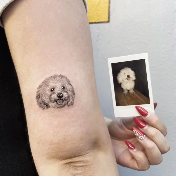 Animal, Mini