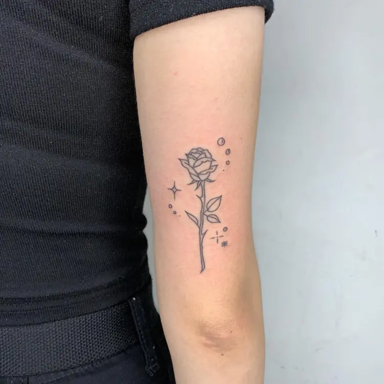 Flower, Rose