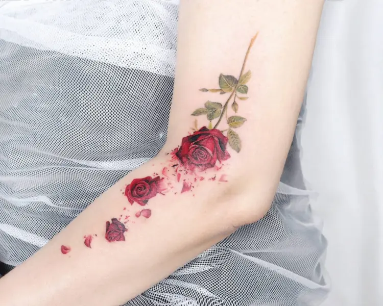 Flower, Rose