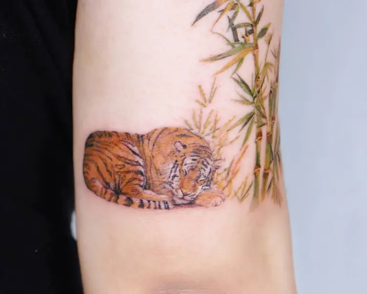 Tiger