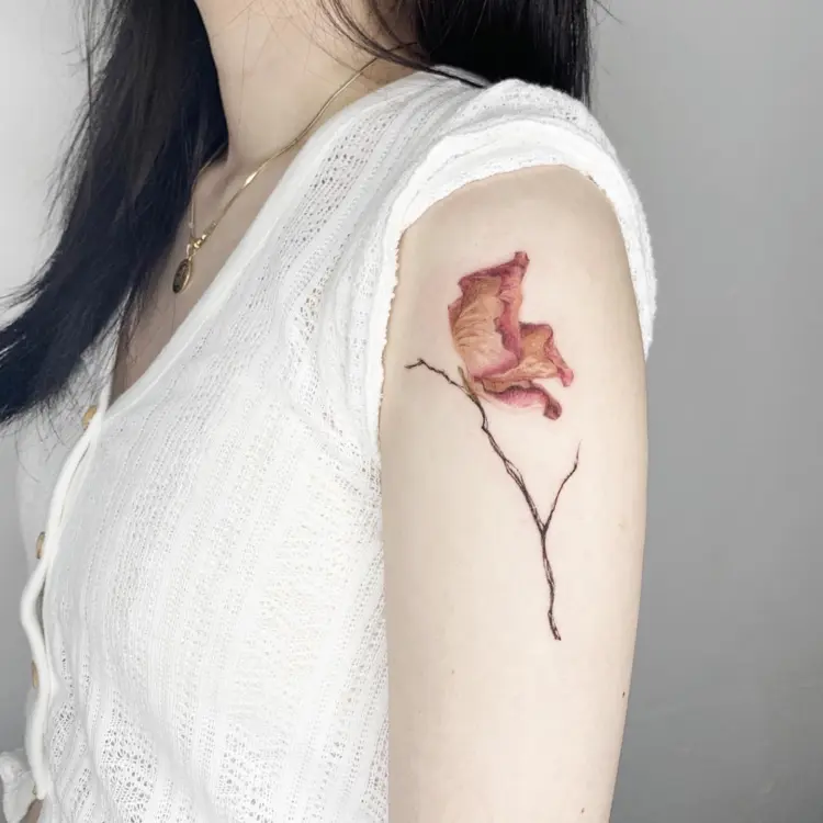 Flower, Nature