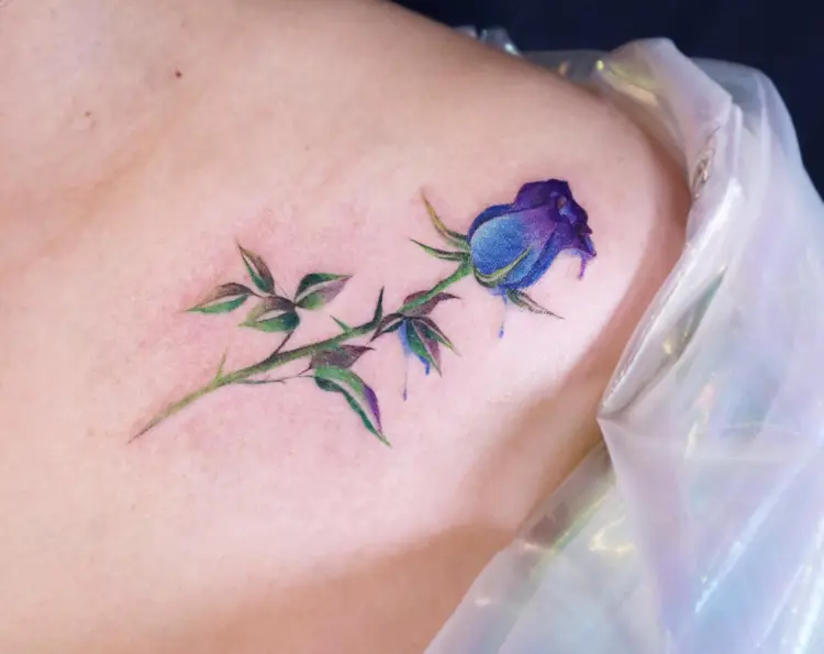 Flower, Rose