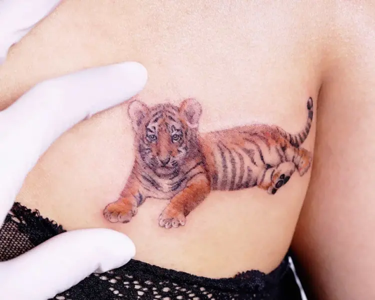 Tiger