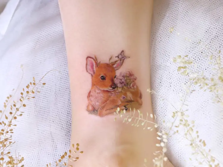 Nature, Animal