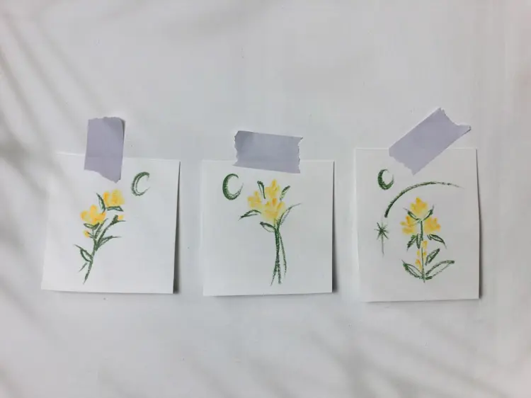 Flower, Nature