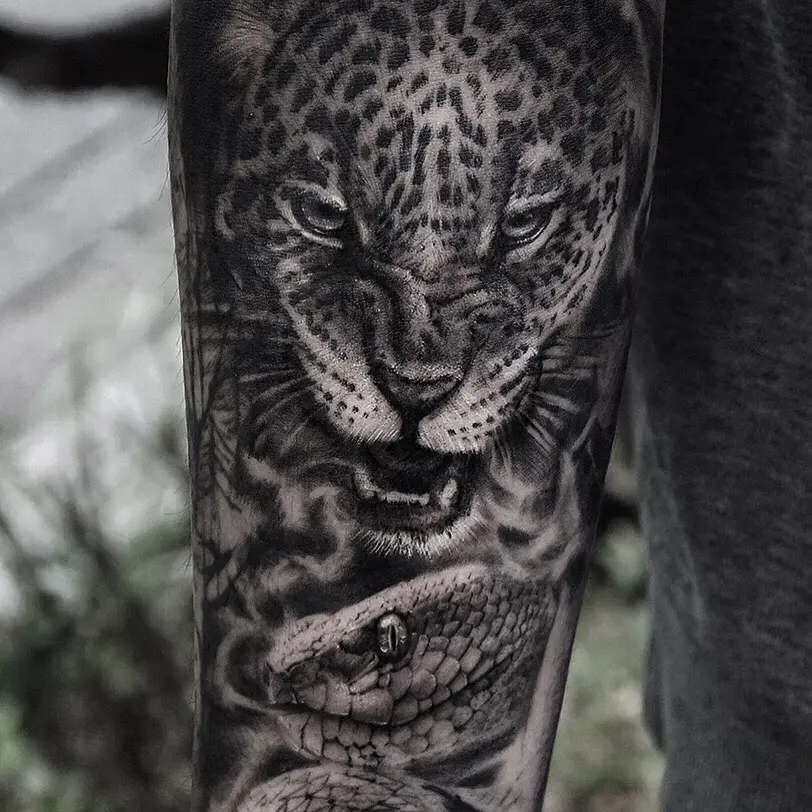 Animal, Tiger