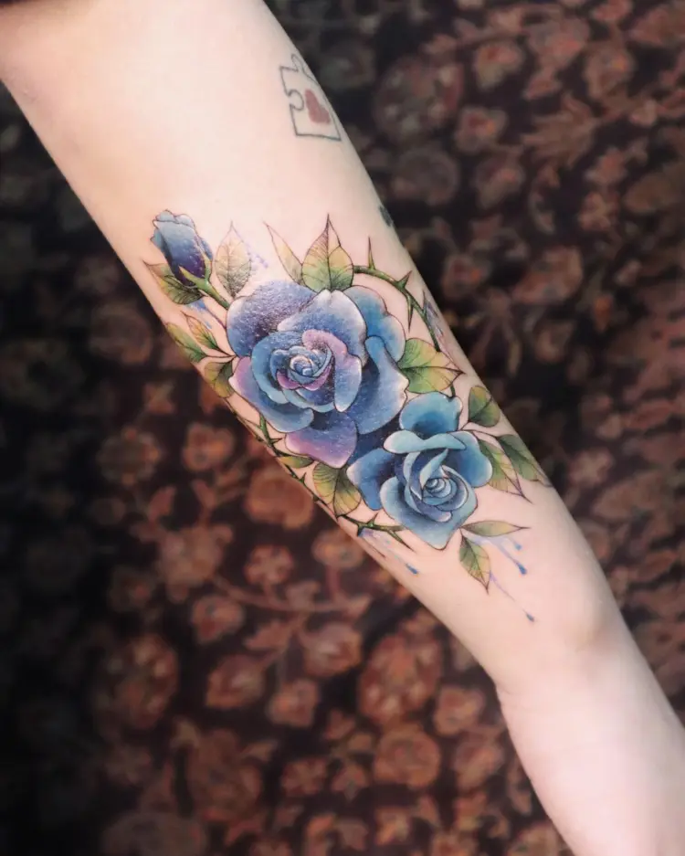 Rose, Nature, Flower