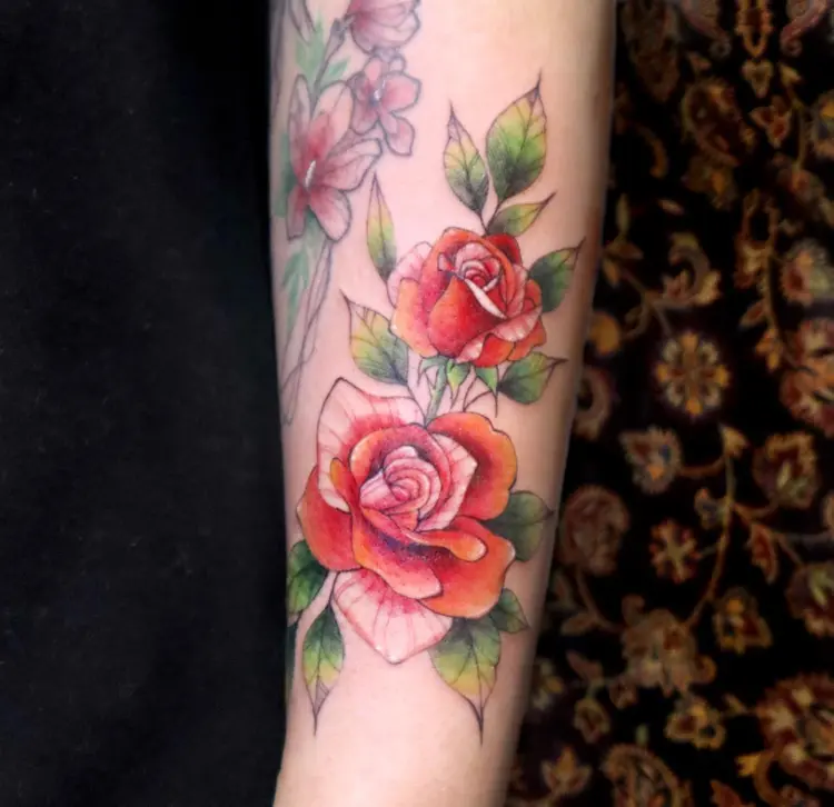 Flower, Rose