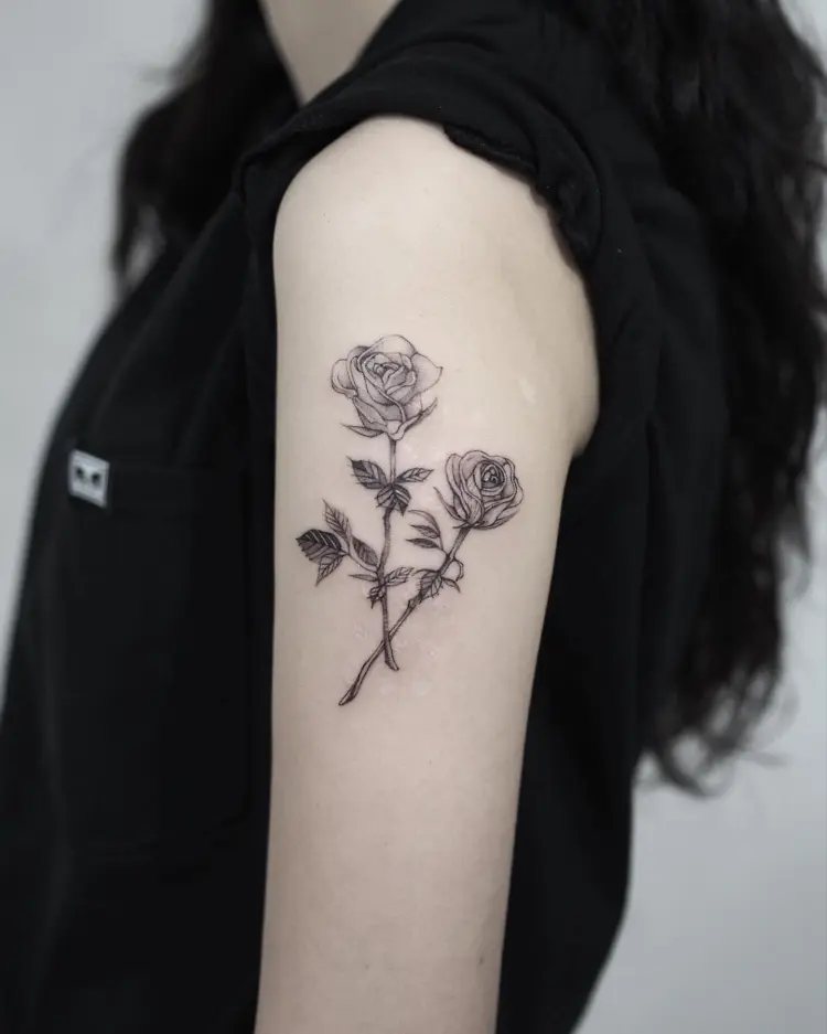 Flower, Rose, Nature