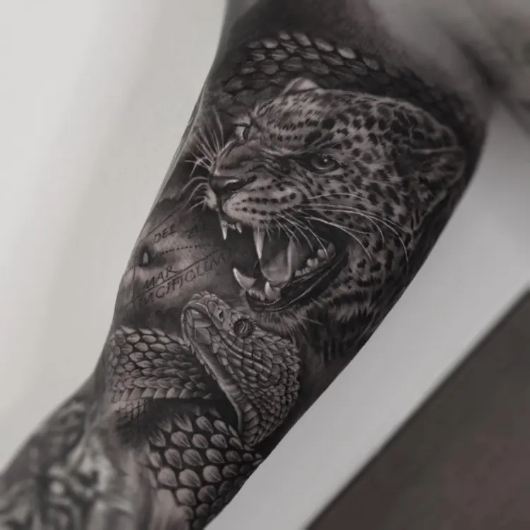 Animal, Tiger