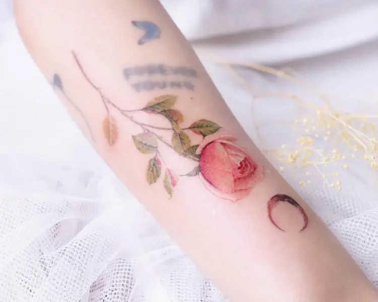 Flower, Rose