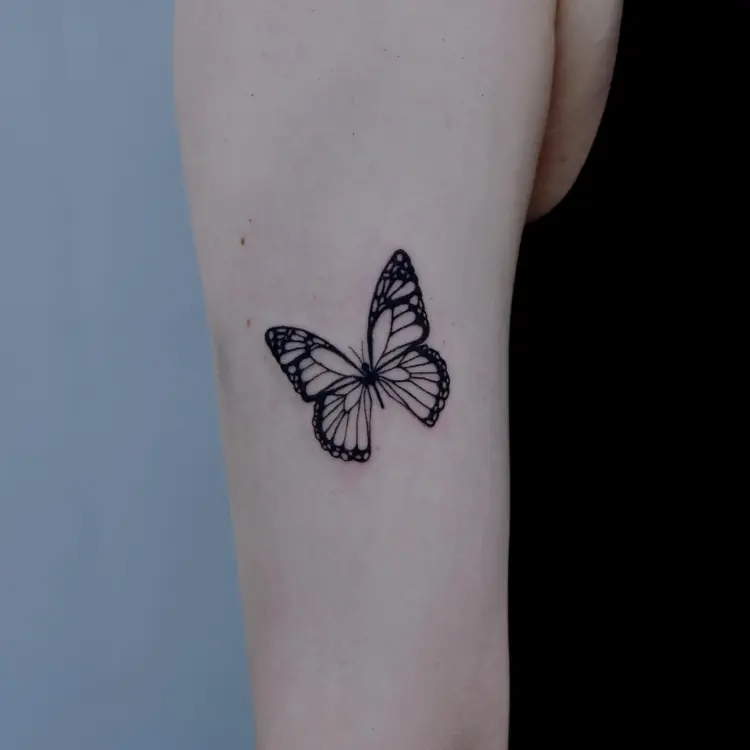 Nature, Animal