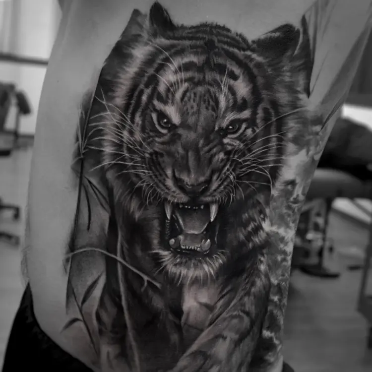Tiger
