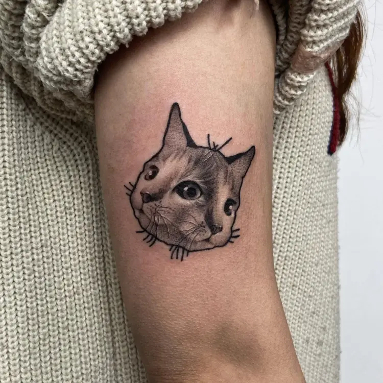 Animal