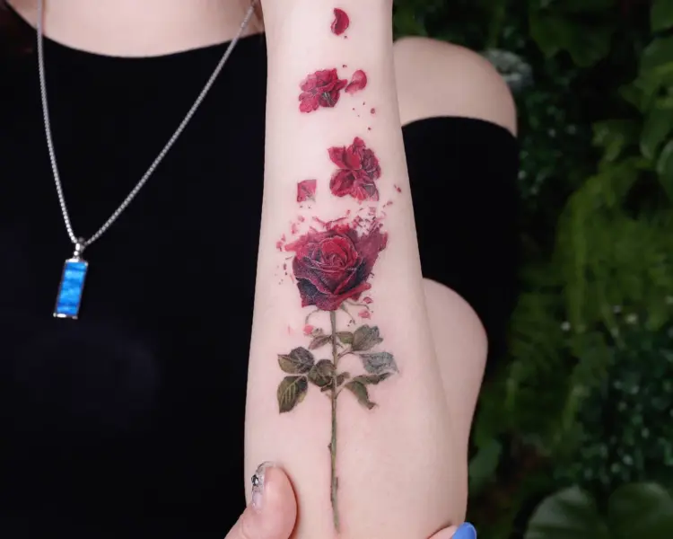 Flower, Rose