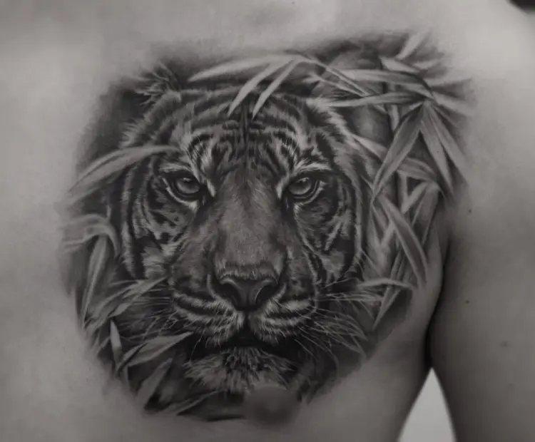 Nature, Tiger, Animal