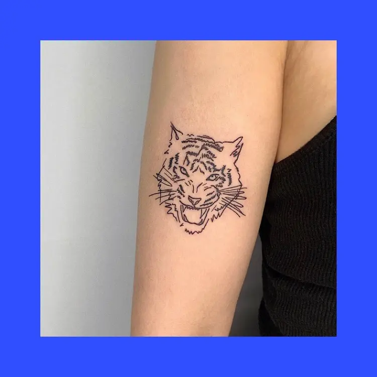 Tiger, Animal