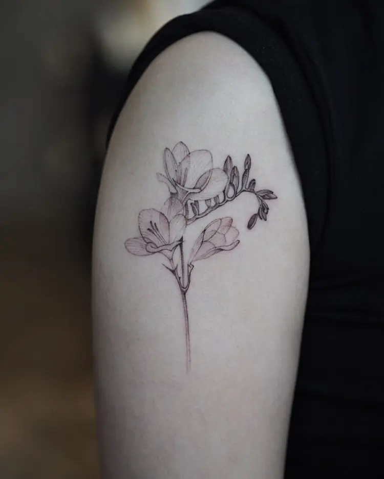 Flower