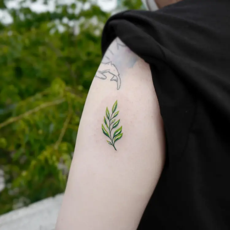 Nature