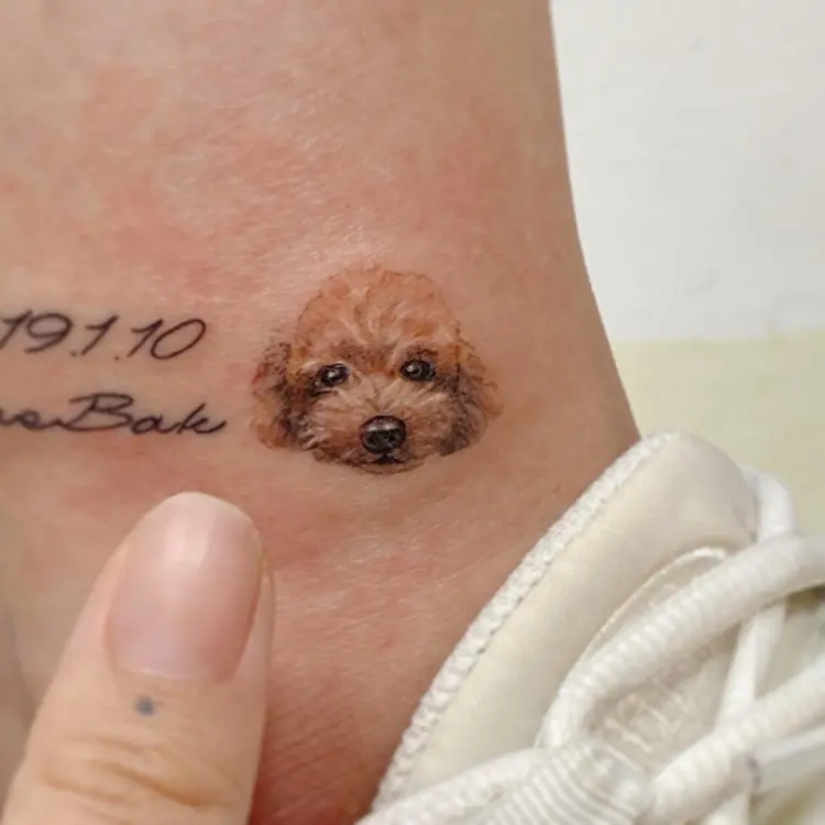 Animal, Mini