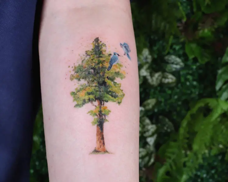 Nature, Animal